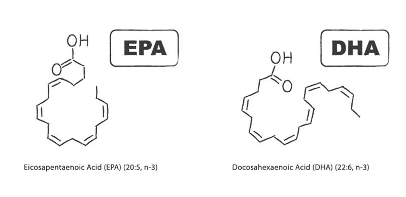 EPA DHA